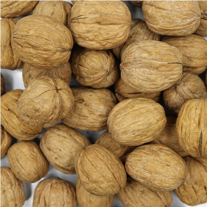 Smarty Stop Raw Walnuts in Shell (5 Pound (Pack of 1))