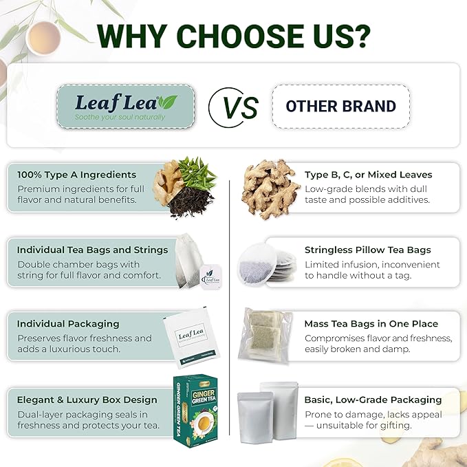 LeafLea Ginger Green Tea 120 Tea Bags Premium Green Tea Blend with Pure Ginger Root Supports Digestive Wellness Natural Flavor Low Caffeine Sugar-Free