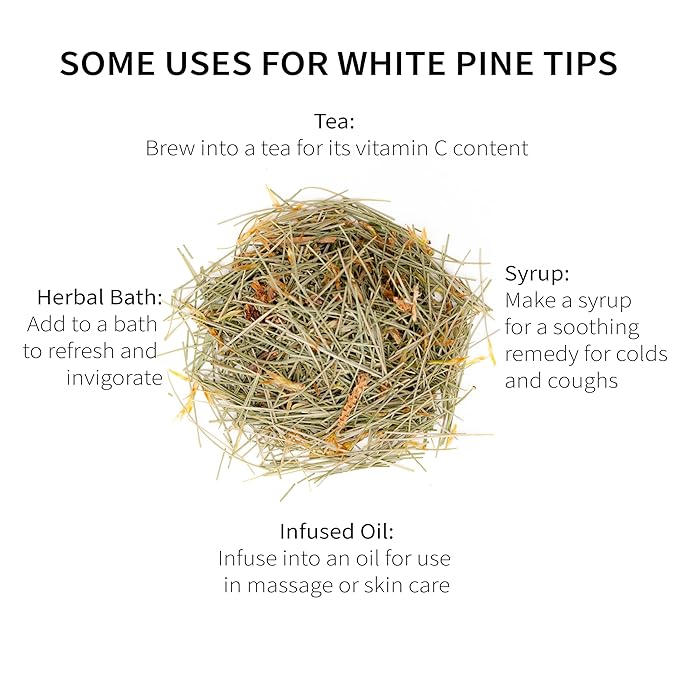 White Pine Needle Tea Wild-Harvested in Wisconsin | 6.0 oz | 85 Servings | Loose Leaf | Herbal Tea &amp Medicinal Herbs | Regenerative Farming | Single Source | Pinus strobus
