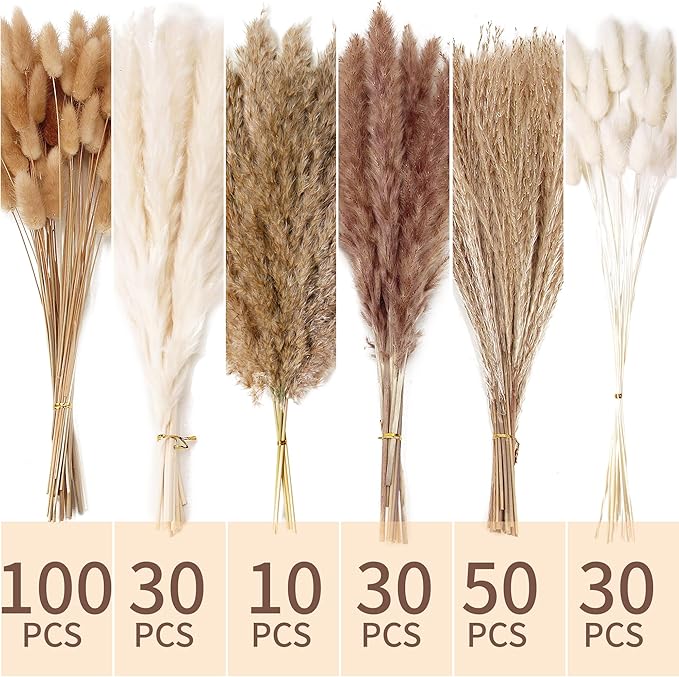 240 PCS Dried Flower Bouquet – Pampas Grass Floral Decor for Home Wedding and Boho Style | Perfect for Vases Fall Spring Summer and Winter Arrangements