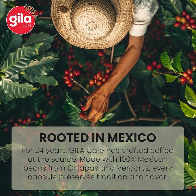 GILA Café Decaf Aluminum Coffee Capsules – Dark Roast Espresso Pods Compatible with Nespresso Original Machines – 100% Arabica Naturally Water-Processed 60 Count