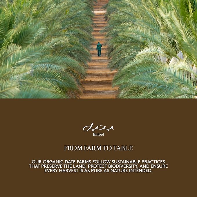 Bateel Palm Box – Small Premium Plain Dates | Luxury Dates Gift Box | Perfect for Eid Ramadan Corporate Gifts