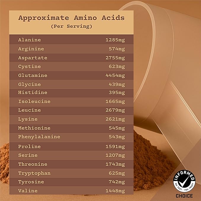 Anea Whey Protein Isolate - Chocolate | 26g Protein | 5.8g BCAAs | Low Carb 3g Carbs | Complete Amino Acids | Gluten-Free Soy-Free | Lean Muscle &amp Recovery | Made in GMP Facility