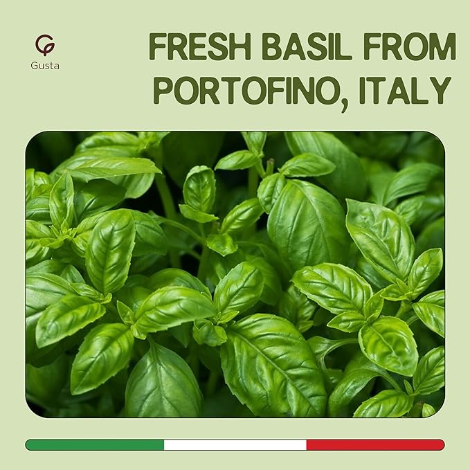 Imported Italian Fresh Basil Pesto Sauce - Extra Creamy - Extra Virgin Olive Oil Cheese &amp Nuts - Delicious &amp Authentic Pasta Sauce and Spread - Home Made Style - 6.35 oz Glass Jar