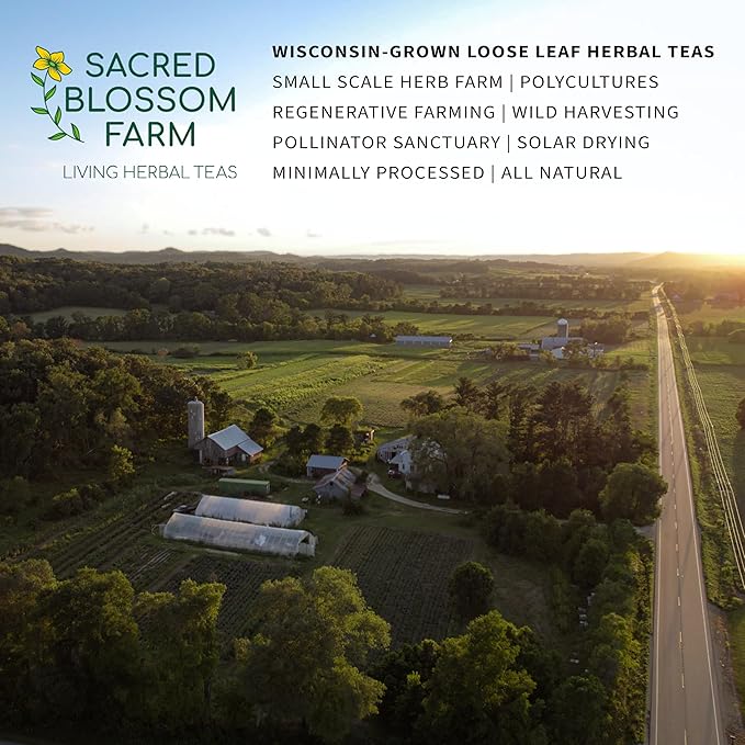 White Pine Needle Tea Wild-Harvested in Wisconsin | 6.0 oz | 85 Servings | Loose Leaf | Herbal Tea &amp Medicinal Herbs | Regenerative Farming | Single Source | Pinus strobus