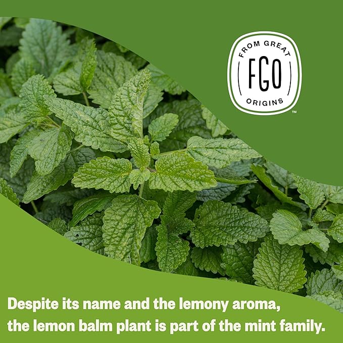 FGO Organic Lemon Balm Tea 100 Count Eco-Conscious Herbal Tea Bags Resealable Bag Caffeine Free Packaging May Vary (Pack of 1)