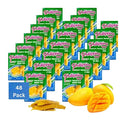 Philippine Brand Dried Mangoes Fruit Snacks- All Naturally Gluten Free Vegan Hand-Selected Delicious Fresh Mangos from Philippines Grab and Go Perfect for Office &amp School Food (.7oz (48 pack))