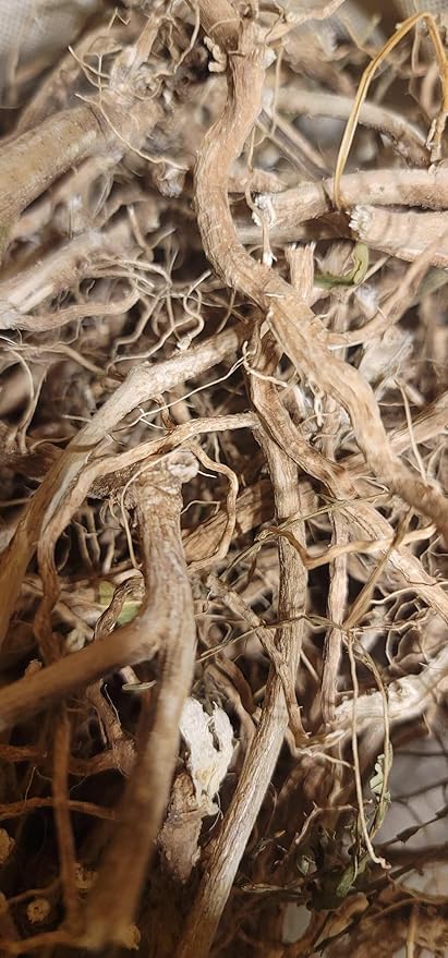 Rastaman Stew Guinea Hen Weed Tea 4oz – Jamaican Anamu (Petiveria Alliacea) Dried Leaves Stems &amp Roots | Wildcrafted Loose Leaf Herbal Bush Tea