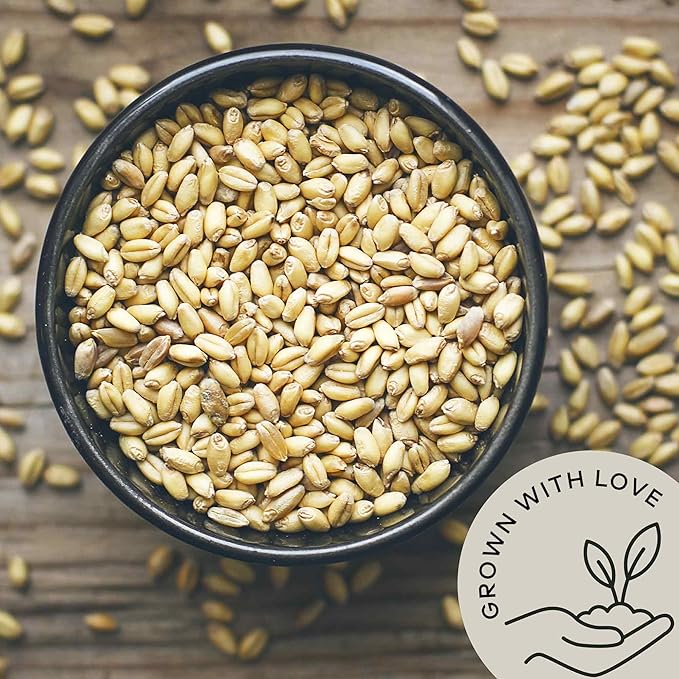 Be Still Farms Organic Hulled Barley Grain (4.8lb) - Whole Barley Groat Seed Bulk - Great for Soup Flour Cereal Home Brewing Grinding - High in Fiber | USDA Certified | Vegan | Non-GMO