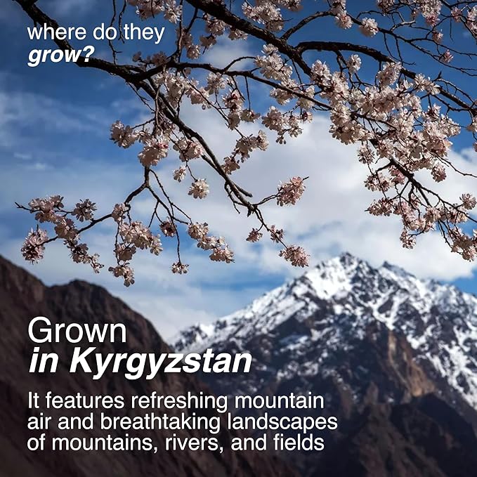 Arashan Natural Black Dried Apricots from Kyrgyzstan 1lb - Unsulphured Sun-Dried No-Added Sugar Sweet and Tangy Ideal for Snacking Baking and Nutritious Trail Mixes
