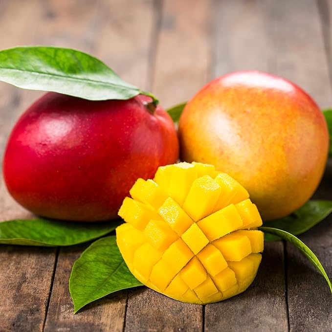 Anna and Sarah Extra Low Sugar Added Dried Mango Slices 32 Oz Delicious Texture Soft &amp Juicy Naturally Ripened Fruits Gluten Free Non GMO Kosher Natural Source of Vitamin C 2 Lbs