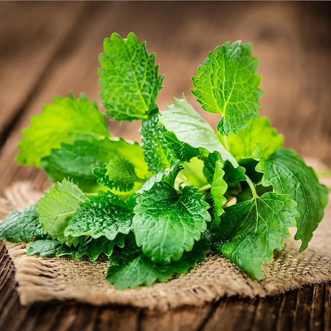 Frontier Co-op Organic Lemon Balm Leaf Cut and Sifted Kosher Bulk Bag - Dried Lemon Balm Herb Loose Leaf Tea - Melissa Tea Toronjil | 16 Ounce (Pack of 1)