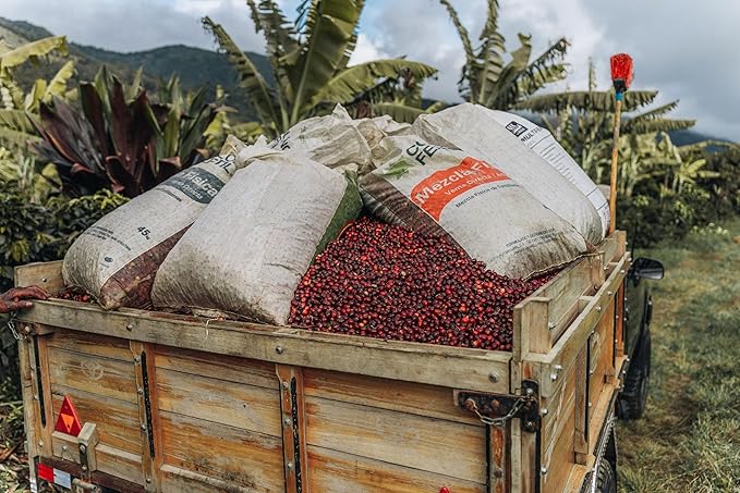 Costa Rican Coffee Finca Las Mercedes Tarrazu Whole Bean Medium Roast Washed Process Fresh Roasted 16-ounce