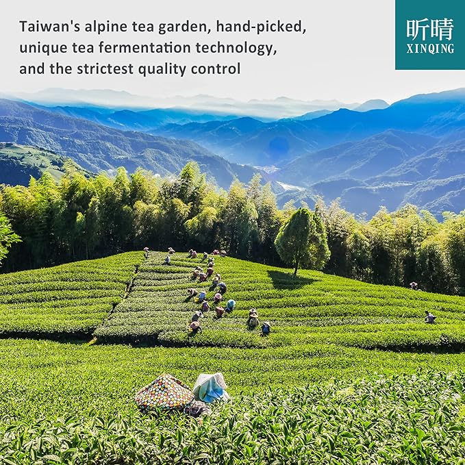 Xin Qing Gunpowder Green Tea Gunpowder Tea Zhu Cha Pearl Tea Loose Leaf Green Tea 200g / 7.05oz