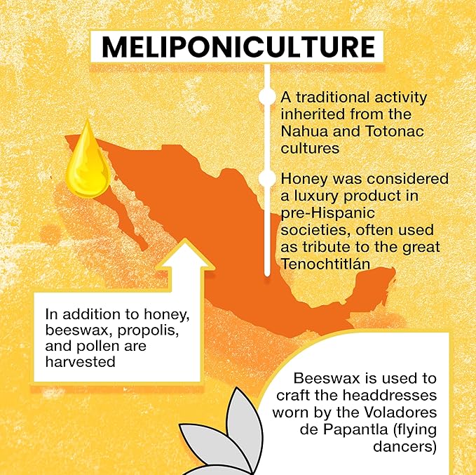 Pure Raw Melipona Honey – 20ml Dropper | Stingless Bee Honey from Nahua &amp Totonac Communities | Unfiltered Natural Limited Harvest