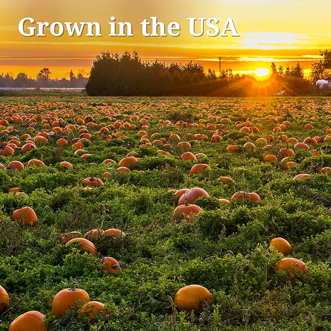 Farmer's Market Foods Canned Organic Pumpkin Puree 15 Ounce (Pack of 12)