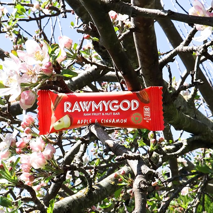 RAWMYGOD Fruit and Nut Bars Gluten Free Vegan No Added Sugar (16 bars Apple &amp Cinnamon)