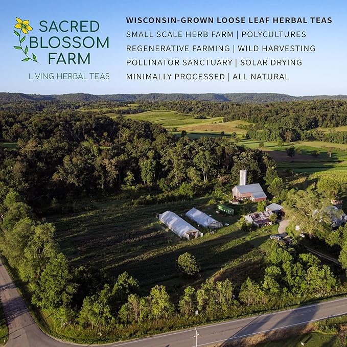 Lemon Balm Tea Organically Grown in Wisconsin | 4.9 oz | 69 Servings | Sacred Blossom Farm | Herbal Tea &amp Medicinal Herbs | Loose Leaf | Regenerative Farming | Single Source | Melissa officinalis