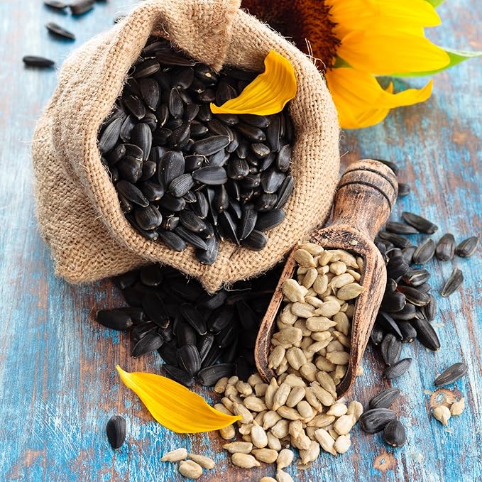We Got Nuts Sunflower Seeds Roasted &amp Unsalted (No Shell) 4 LB