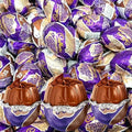 Easter Eggs Milk Chocolate Candy - Chocolate Creme Center - Individually Wrapped - Ideal For Easter Basket Office Candy 48 Eggs 1.2oz