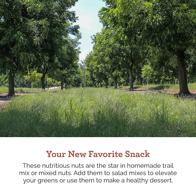 HUDSON PECAN: Georgia Grown Pecans Classic In-Shell. Family-Owned Premium Southern Unshelled Nuts. Slightly Sweet Flavor (Gluten-Free Kosher Keto Snack Salad Topping or Baking Ingredient) 5lb Ba