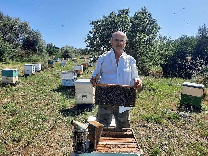 Laconic Foods | Wild Forest Honey | Raw Greek Honeydew Honey from Pine Oak Chestnut Trees &amp Wild Flowers | 315g