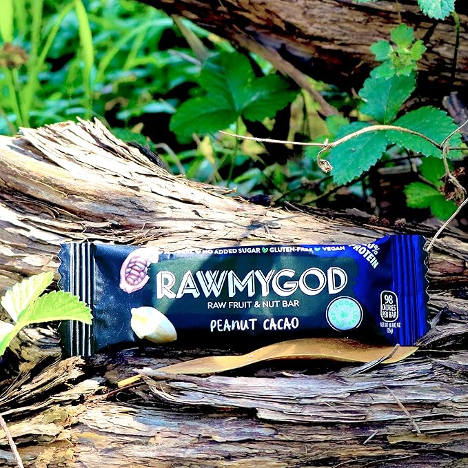 RAWMYGOD Fruit and Nut Bars Good Source of Protein (5g 20% protein content) Gluten Free Vegan No Added Sugar (20 bars Peanut &amp Cacao)