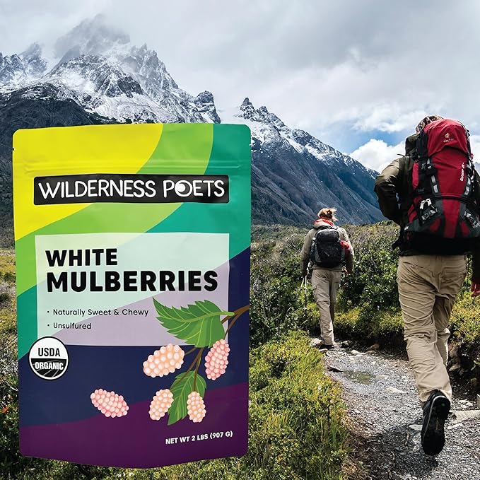 Wilderness Poets White Mulberries - Organic Raw Dried Mulberries - (32 Ounce - 2 Pound)
