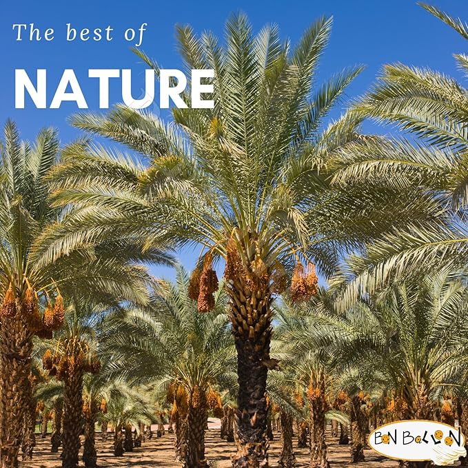 100% Natural Egyptian Semi Dry Unpressed Medium Sized Dates With Pits With Very Sweet Taste Halal Packed And Protected In Cartoon Box Tamar Tamr Tamaar Ramadan Halal تمر حلال ( 1 Pack / 700 gm ) Premi