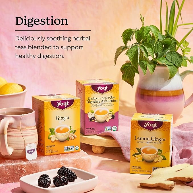 Yogi Tea Mango Ginger Tea - 16 Tea Bags per Pack (6 Packs) - Organic Ginger Root Tea to Support Healthy Digestion - Contains Antioxidants - Includes Cinnamon Bark Rooibos Leaf Mango Flavor &amp Mor