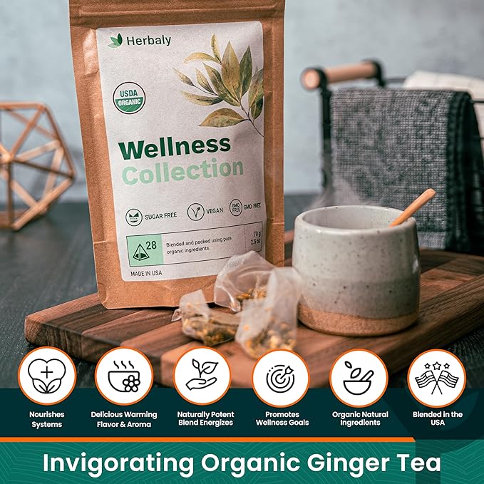 Herbaly Wellness Collection Organic Herbal Ginger Tea 70 g 28 Count Bag (Pack of 1)