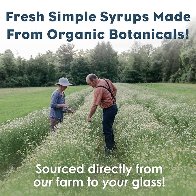 Bluestem Botanicals Organic Spicy Tumeric Simple Syrup 8 oz Cocktail and Mocktail Mixer for Drinks Non-Alcoholic
