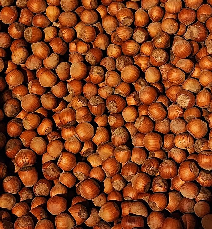 Hazelnuts in shell grown in our family's orchard in Washington state (Roasted 8 pound)