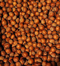 Hazelnuts in-shell from our family orchard in Washington state (Raw 4 pounds)