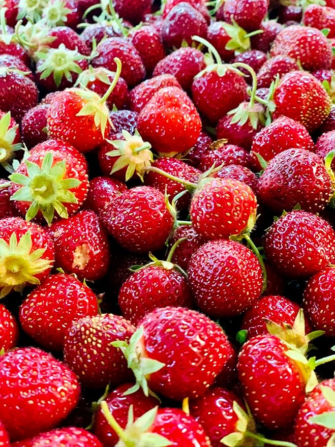 Tree Juice Strawberry Maple Syrup | All Natural Non GMO Vegan Gluten Free Vegetarian Paleo | 12 Ounce Bottle