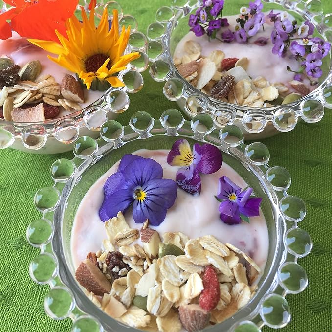 Star Sky Granola Pack of 5 (FRUIT &amp NUT MUESLI)