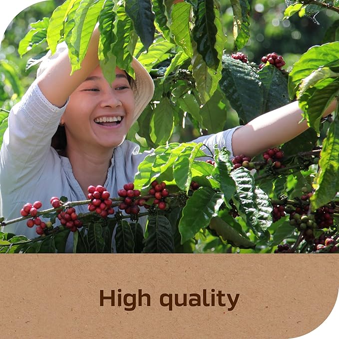 NESCAFÉ Taster's Choice Instant CoffeeLight Medium RoastHouse Blend(7 Oz Each)(Pack of 4)