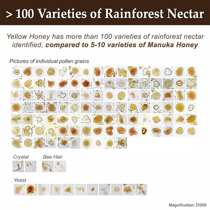 Tualang Yellow Honey 1.8oz (TA 9.5+ Pollen Count 2.4M+ Pollen Variety 100+) Mild Choice for Kids Growth Wild-ripening on 250ft Treetop Raw Unpasteurised Unfiltered