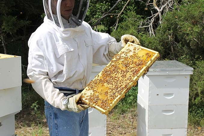 Raw Honey Pure Natural Nebraska Honey One 5lb Jug