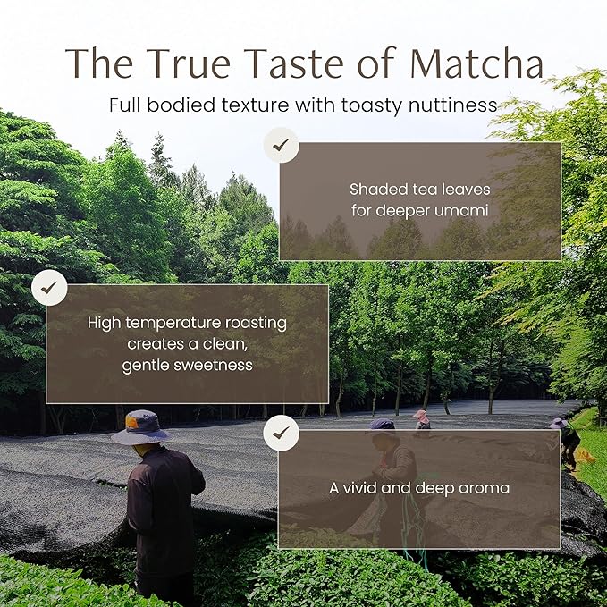 Magpie&ampTiger Matcha Hoji Matcha Powder - Roasted Korean Green Tea | Nutty Chocolate-Like Flavor (40g)
