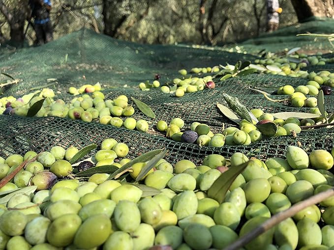 Laconiko Ultra Premium Extra Virgin Olive Oil (Lemon)