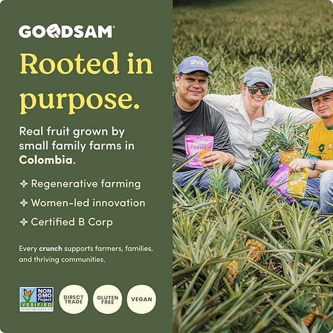 GoodSAM Small Farms Baked Pineapple Chips Pack of 8 Simple Ingredient Fruit Chips