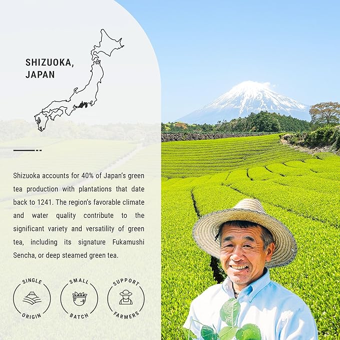 Senbird Premium Sencha - Japanese Green Tea - From Shizuoka Japan - Loose Leaf Tea In Airtight Tea Tin (3.5oz/100g)