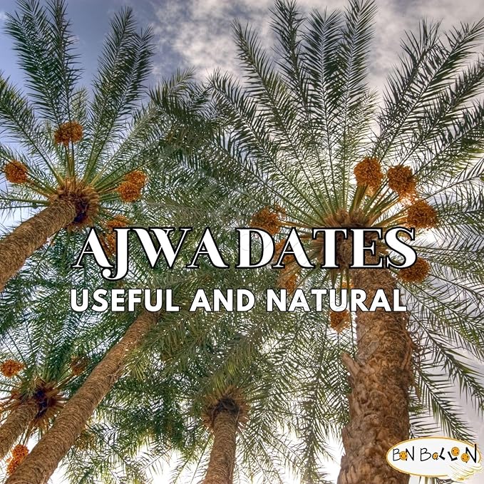 Ajwa Madina Brilliant Saudi Dates Palm Palms Dates Natural Pure Sweet Taste compressed Semi Dry Halal Gmo Free Tamar Tamr Tamaar Fresh Arabia Ramadan Halal (1 Pack = 17.64 oz / 500 gm) عجوة المدينة