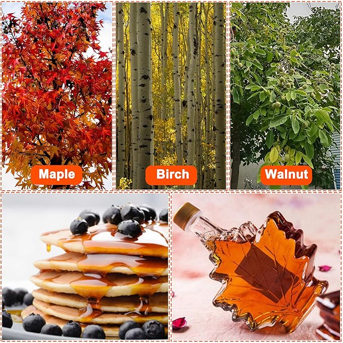 Maple Syrup Tree Tapping Kit with Bags 10 Maple Sap Taps 10 Food Grade 3ft Tubing 10 5L Bags 5 Syrup Filters Maple Birch Walnut Sugaring Starter Supplies Collection Gift for Experts or Beginners