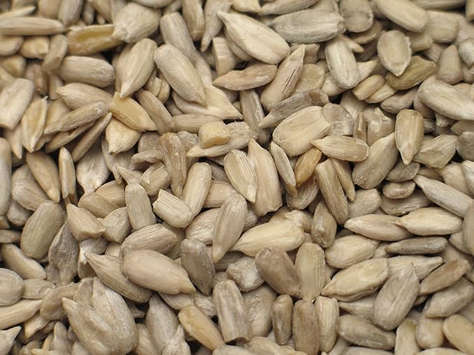 Yupik Organic Raw Shelled Sunflower Seeds 2.2 lb (Pack of 2)