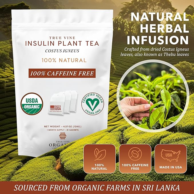 True Vine Insulin Plant Tea (USDA Organic) — Herbal Organic Tea Bags for Blood Sugar Support Digestive Wellness &amp Metabolic Balance — 100% Natural Caffeine-Free No Additives – 31 Sachets (4g Ea