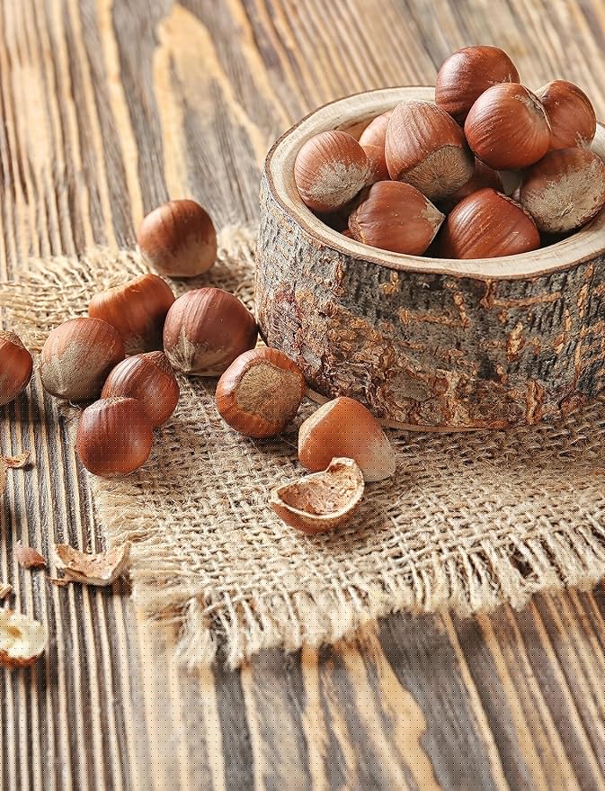 Anna and Sarah Large Oregon Hazelnuts in Shell 5 Lbs