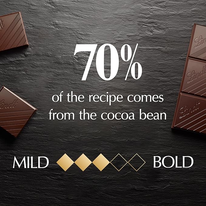Lindt EXCELLENCE 70% Cocoa Dark Chocolate Candy Bar Dark Chocolate 3.5 oz. Bar