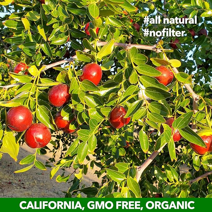 JUJUME | USDA Organic California Grown Jujubes Red Dates | Individually Sorted 3X for QA | High Grade Superfood | Healthy Dried Fruit | Certified All-Natural Non-GMO | 6 oz. bag